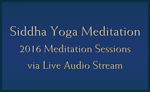 Meditation Sessions 2016 - Young Adult