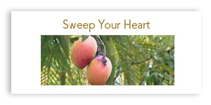 Mango 16